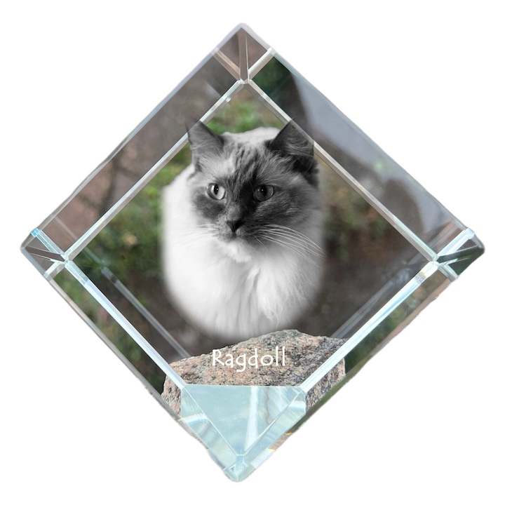 Cubi din cristal personalizat, Art-Dog, 8x8x8cm, cu gravura animal, cadou elegant