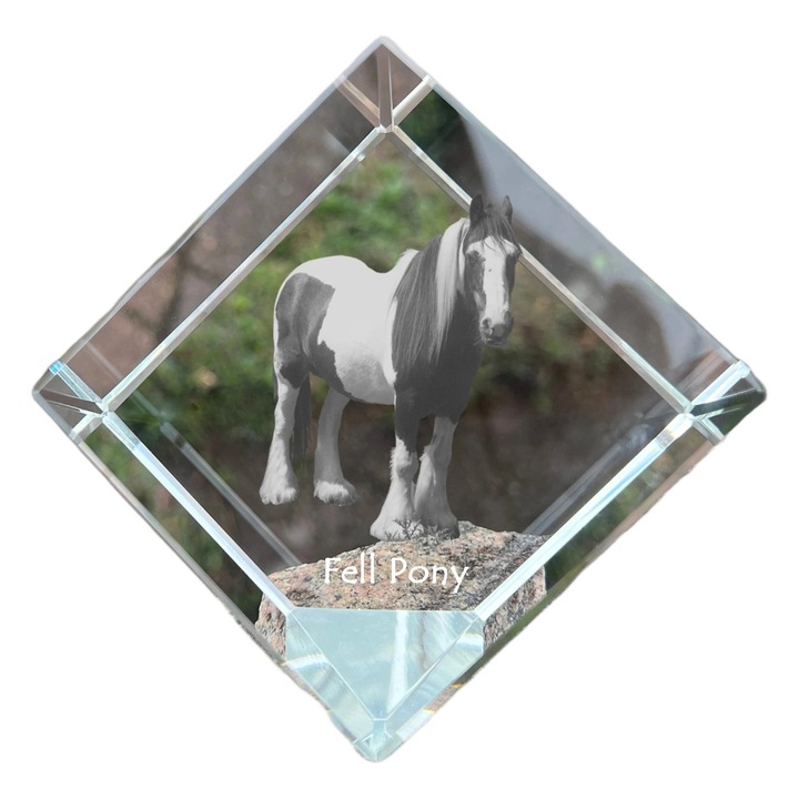 Cubica din cristal, Art-Dog, personalizabila, 8x8x8cm, pentru birou