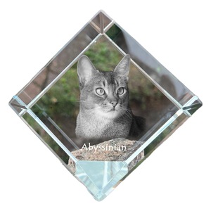 Accesorii decorative