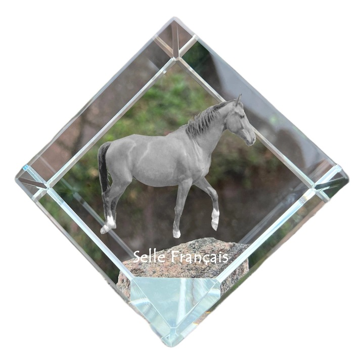 Cubica din cristal, Art-Dog, personalizabila, 8x8x8cm, pentru birou