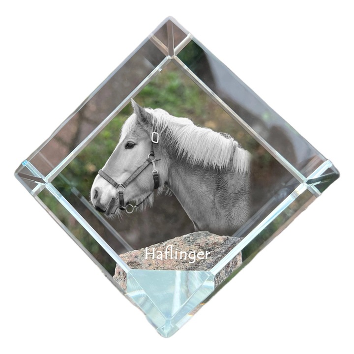 Cub din cristal personalizat, Art-Dog, 8x8x8cm, cu gravura animal, elegant