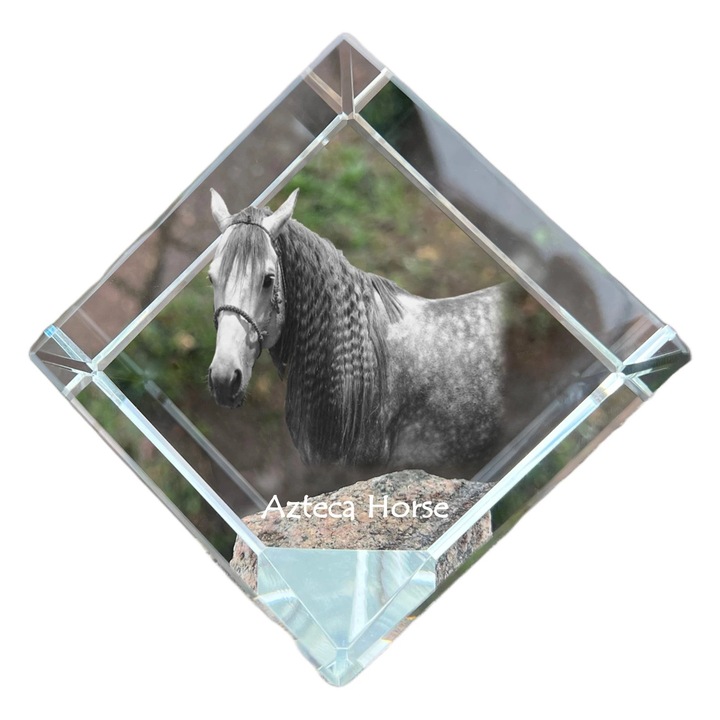 Cubica din cristal, Art-Dog, personalizabila, 8x8x8cm, transparenta