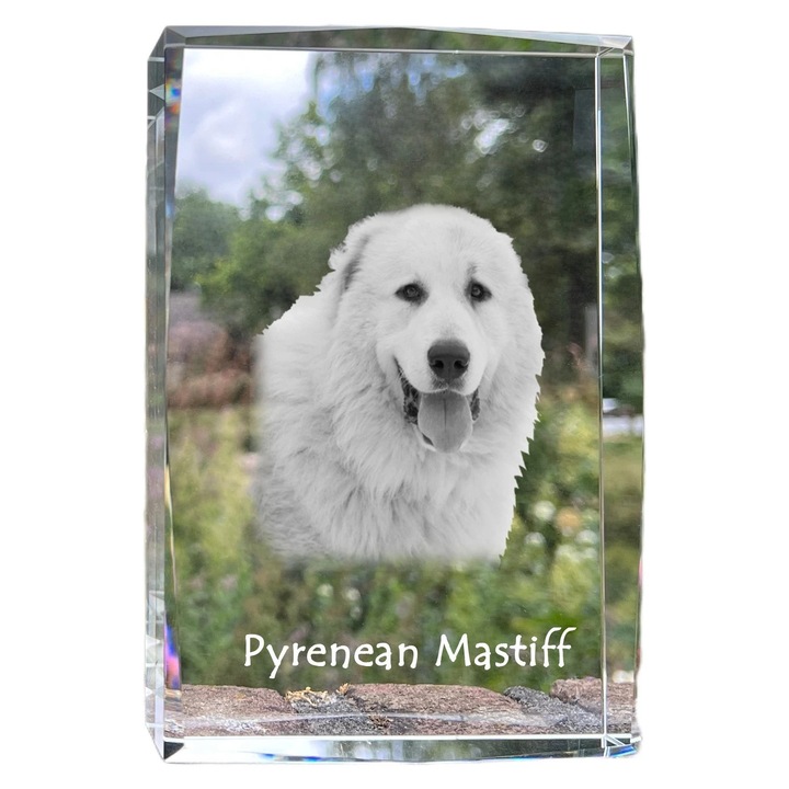 Rama foto din cristal, Art-Dog, cu fotografie personalizata, 18x12x4cm, cristal optic