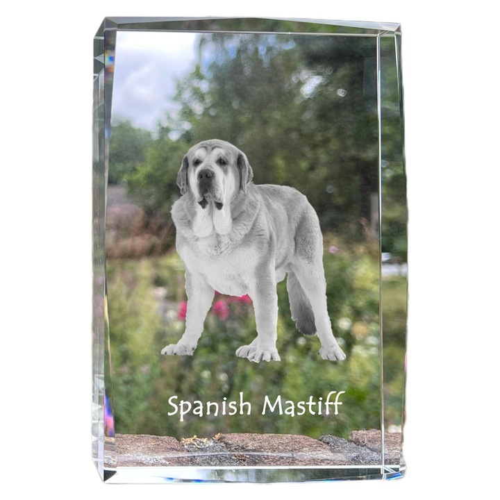 Rama foto clasica, Art-Dog, cristal cu fotografie, 18x12x4cm, personalizabila