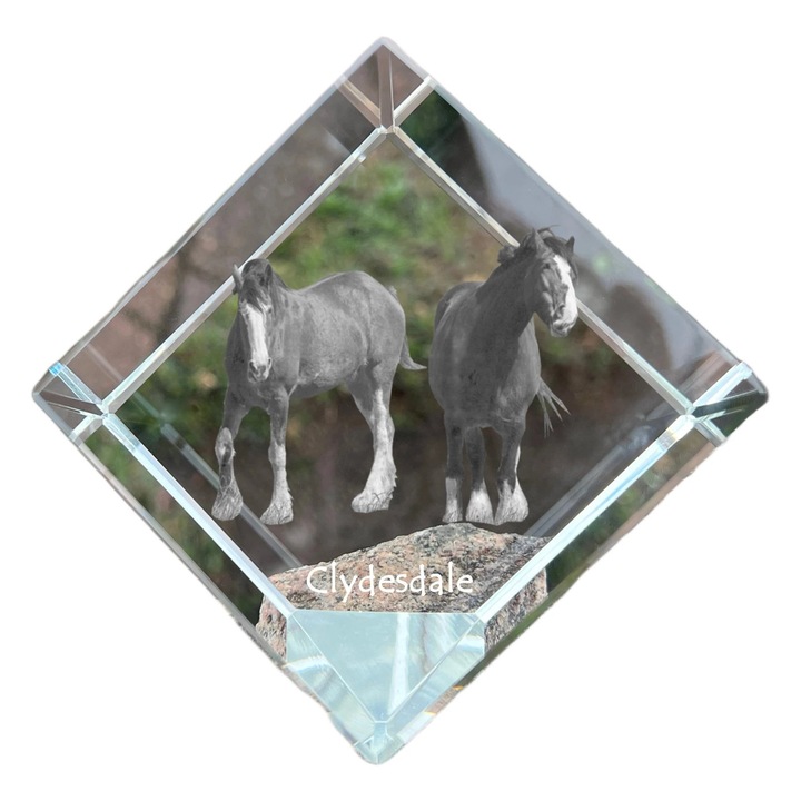 Cubica din cristal, Art-Dog, personalizabila, 8x8x8cm, transparenta