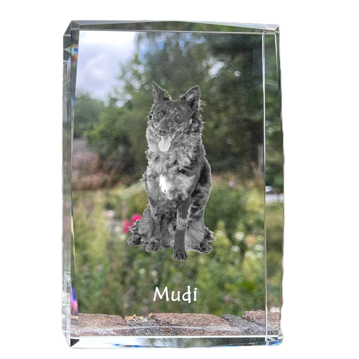 Rama foto din cristal, Art-Dog, cu fotografie personalizata, 18x12x4cm, cristal optic