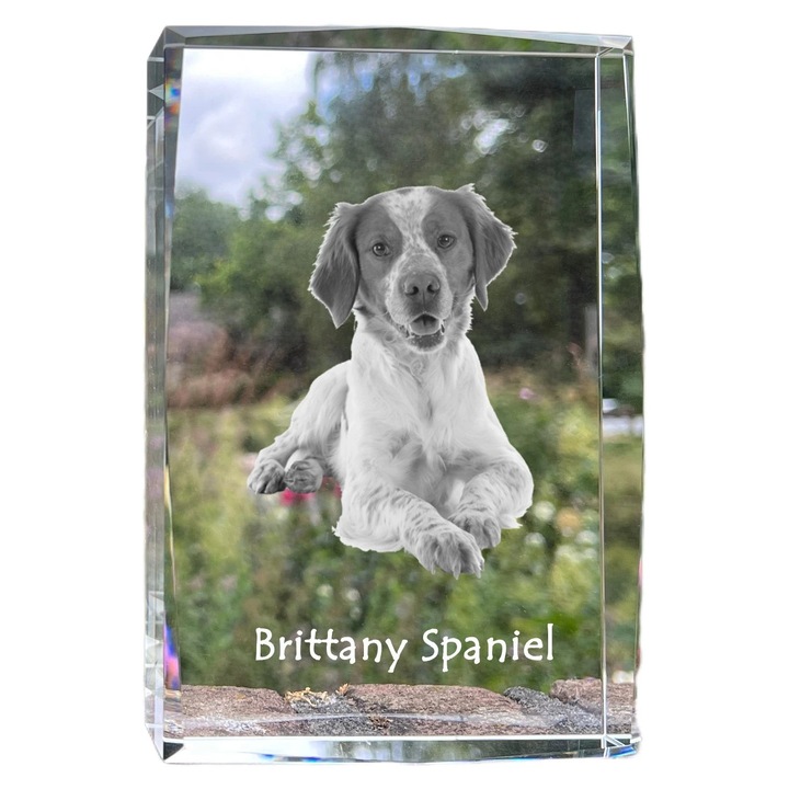 Rama foto din cristal, Art-Dog, cu fotografie personalizata, 18x12x4cm, cristal optic