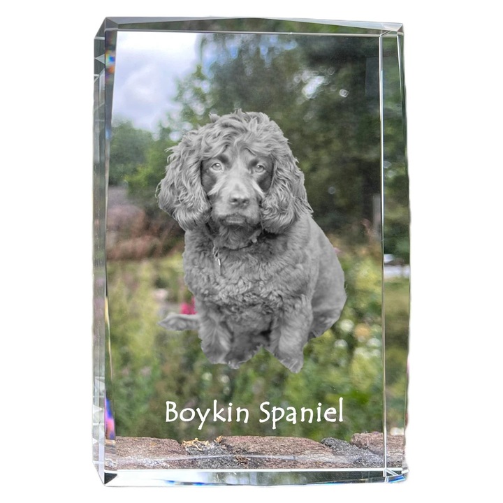 Rama foto din cristal, Art-Dog, 18x12x4cm, cu fotografie personalizata, pentru amintiri despre animale de companie