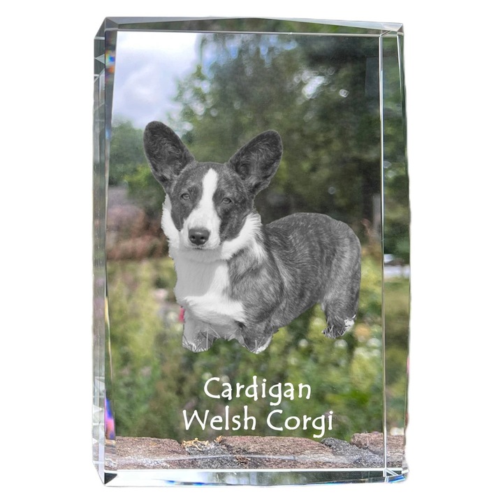 Rama foto clasica, Art-Dog, cristal cu fotografie, 18x12x4cm, personalizabila