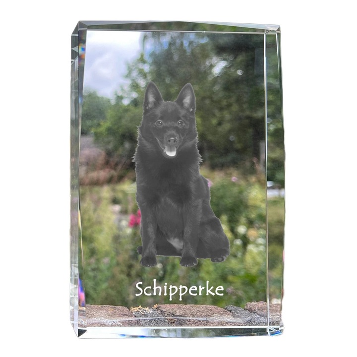 Rama foto din cristal, Art-Dog, 18x12x4cm, personalizata cu fotografie, pentru amintiri cu animalul de companie