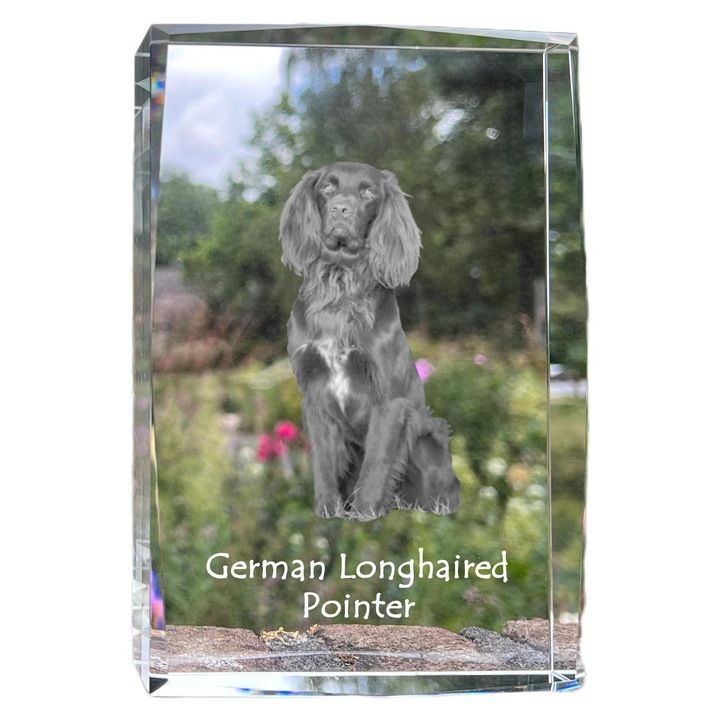 Rama foto din cristal cu fotografie, Art-Dog, 18x12x4cm, cristal optic