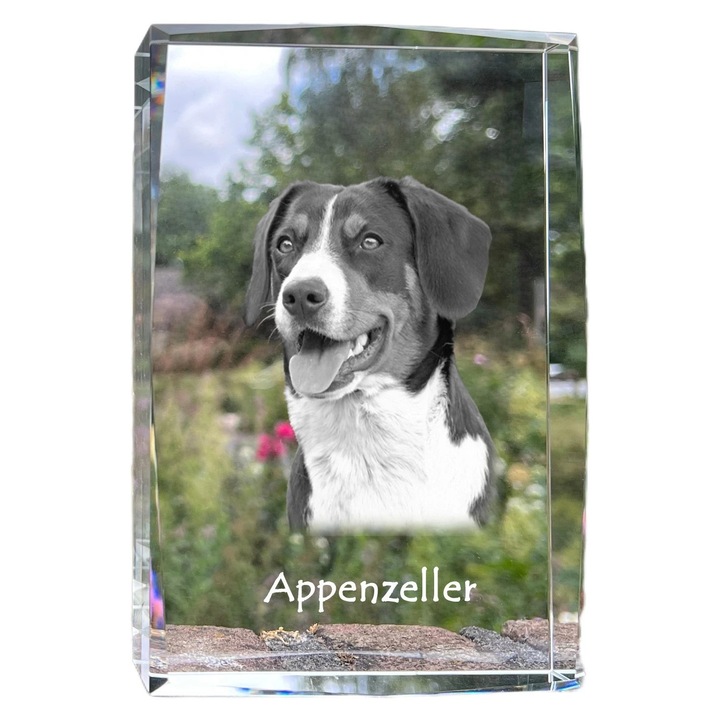 Rama foto din cristal, Art-Dog, cu fotografie personalizata, 18x12x4cm, cristal optic