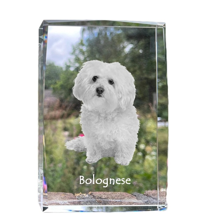 Rama foto din cristal, Art-Dog, cu fotografie personalizata, 18x12x4cm, cristal optic