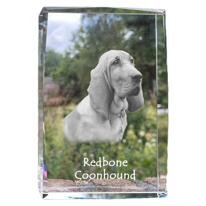 Rama foto din cristal, Art-Dog, 18x12x4cm, personalizata cu fotografie, pentru amintiri despre animale de companie