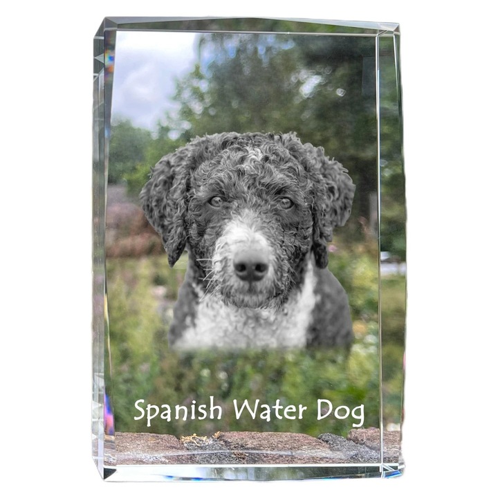 Rama foto din cristal, Art-Dog, 18x12x4cm, cu fotografie personalizata, pentru amintiri unice