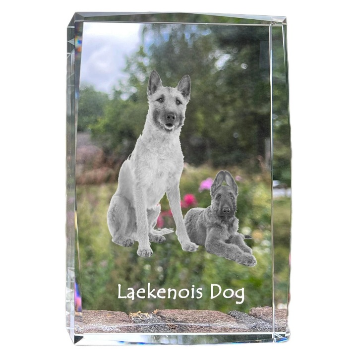 Rama foto din cristal, Art-Dog, cu fotografie personalizata, 18x12x4cm, cristal optic