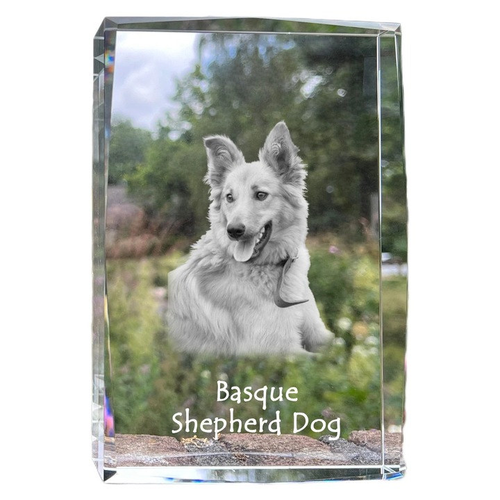 Rama foto din cristal, Art-Dog, cu fotografie personalizata, 18x12x4cm, cristal optic