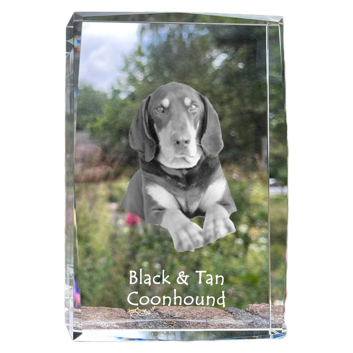 Rama foto din cristal, Art-Dog, cu fotografie personalizata, 18x12x4cm, cristal optic