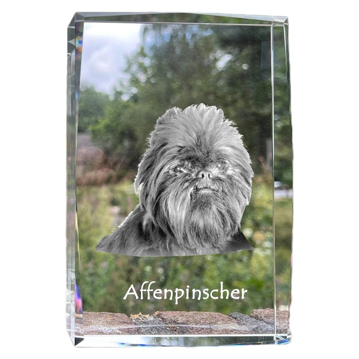 Rama foto din cristal, Art-Dog, cu fotografie personalizata, 18x12x4cm, transparent