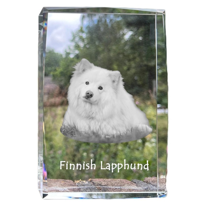 Rama foto din cristal, Art-Dog, cu fotografie personalizata, 18x12x4cm, cristal optic