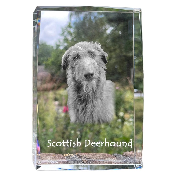 Rama foto din cristal, Art-Dog, cu fotografie personalizata, 18x12x4cm, cristal optic