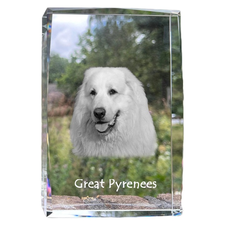 Rama foto din cristal, Art-Dog, cu fotografie personalizata, 18x12x4cm, cristal optic