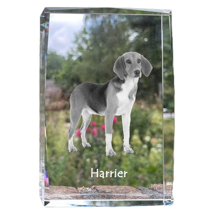 Rama foto din cristal, Art-Dog, 18x12x4cm, personalizata cu fotografie, cadou unic