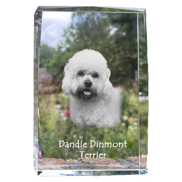 Rama foto din cristal, Art-Dog, 18x12x4cm, personalizata cu fotografie, pentru animal de companie