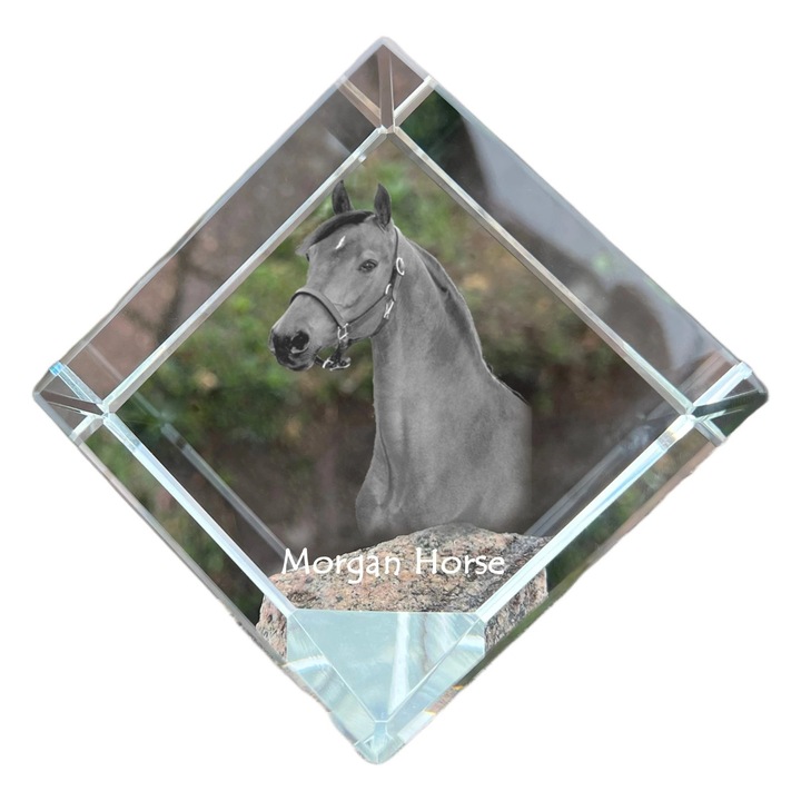 Cubica din cristal, Art-Dog, personalizabila, 8x8x8cm, pentru birou