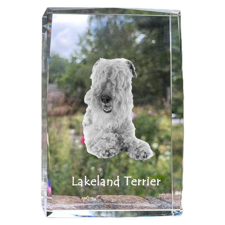 Rama foto din cristal, Art-Dog, 18x12x4cm, personalizata cu fotografie, pentru animal de companie