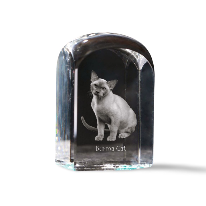 Kristály papírnehezék, Art-Dog, személyre szabott gravírozással, 10x6x6cm