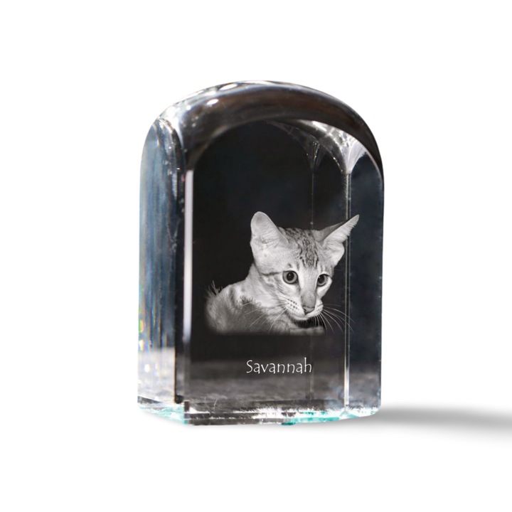 Kristály papírnehezék, Art-Dog, fényképpel személyre szabott, 10x6x6cm, átlátszó