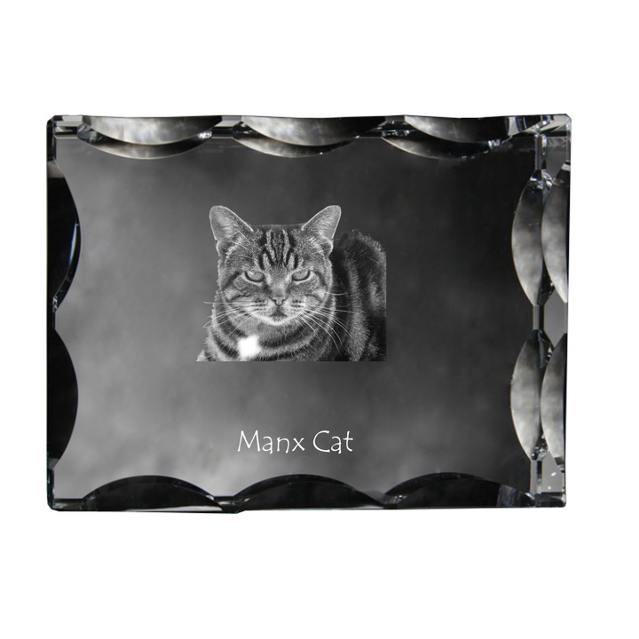 Rama foto clasica, Art-Dog, krysztal cu poza personalizata, 12x9x5cm