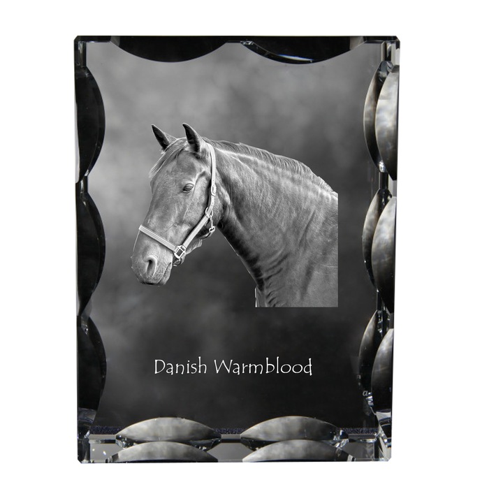 Rama foto clasica, Art-Dog, cristal cu imagine personalizata, 12x9x5cm, transparent