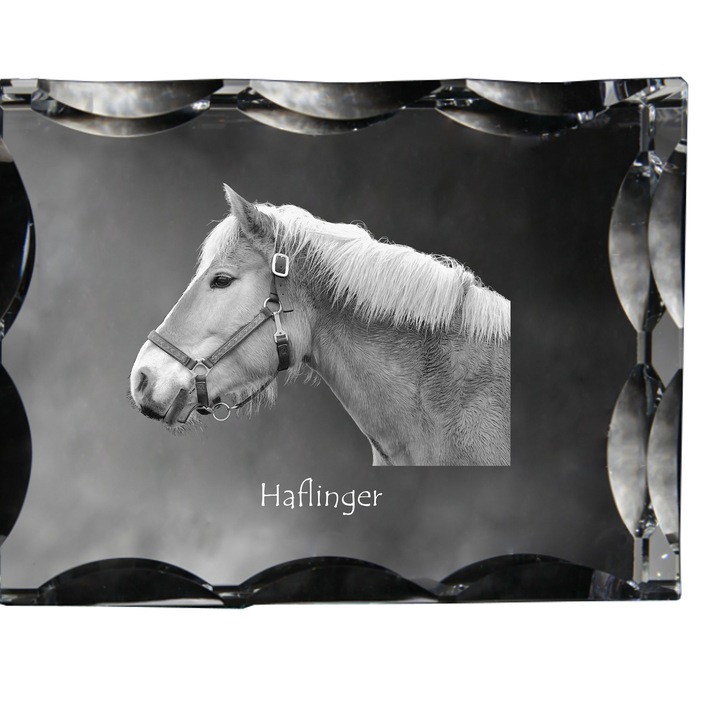 Rama foto din cristal, Art-Dog, personalizabila, 12x9x5cm, cu imaginea unui animal de companie