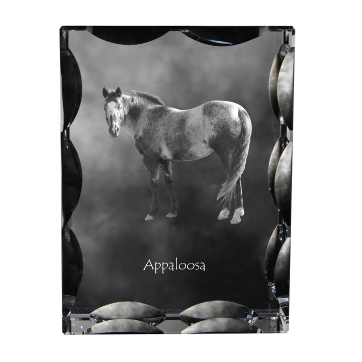 Rama foto clasica, Art-Dog, cu personalizare, 12x9x5cm, transparent