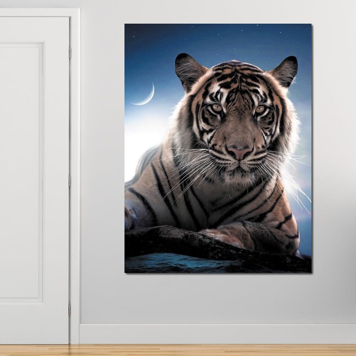 Премиум Канава картина, LuxCanva® M1441, Сам под звездите, 45 X 60 СМ, 100% Памучно платно 400гр/м2, Дървена подрамка, Полумесец, Нощ, Звезди, Космически, Тигър, Котка, Мистериозен, Ивици, Светлина, Портрет, Офис, Всекидневна, Детска стая