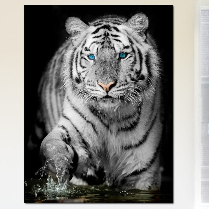 Tablou Canvas Premium, LuxCanva® M1442, Suflet Inghetat, 75 X 100 CM, Panza Bumbac 100% 400g/m2, Sasiu Lemn, Apa, Miscare, Tigru, Alb, Ochi, Safir, Privire, Natura, Jungla, Felina, Eleganta, Sublim, Birou, Living, Camera Copil