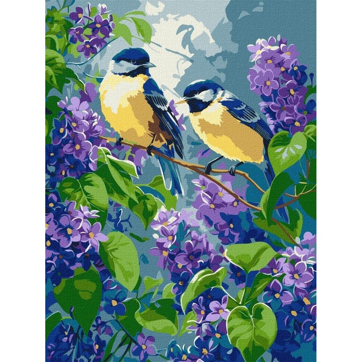 Set pictura pe numere, Ideyka, Wiosenny duet, 30x40cm, 3 pensule, culori ecologice