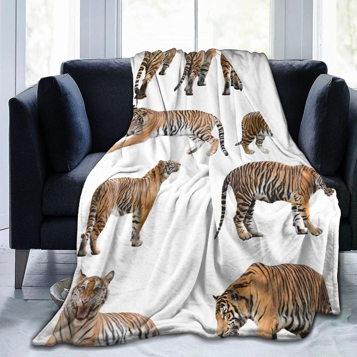 Patura flanel, 80x60in, multicolor, usoara si confortabila, pentru canapea sau pat