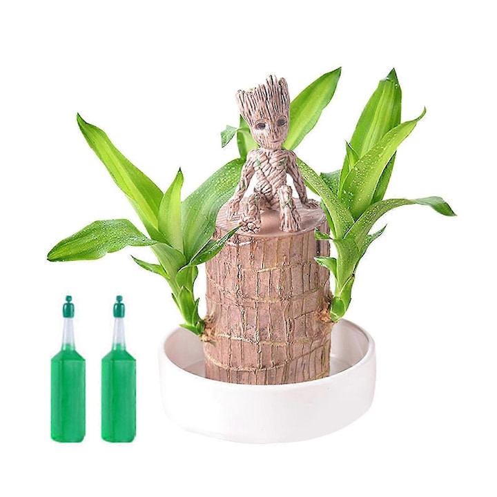 Planta in ghiveci din ceramica, 5-6cm latime, 10cm inaltime