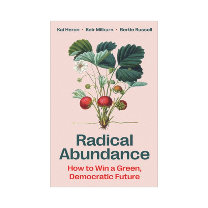 Radical Abundance: How To Win A Green Democratic Future - Kai Heron