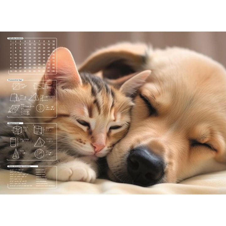 Mousepad Panta Plast, mata pe suport de carton, imprimeu fullcolor, modele matematice