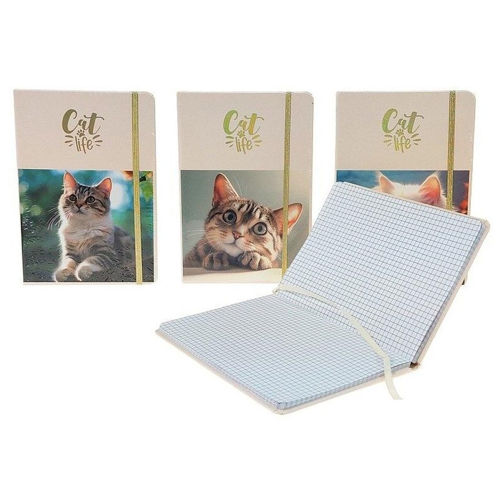 Caiet A5 ADAR, cu carouri, set mix