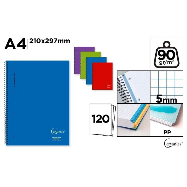 A4-es Cervantes füzet, 120 lapos, kockás, többszínű