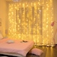 Instalatie Tip Perdea Luminoasa HOZRO, 2M × 2M cu 240 LED-uri, Instalatie Decorativa pentru Interior si Exterior, Iluminare Festiva pentru Craciun, Petreceri si Evenimente Speciale