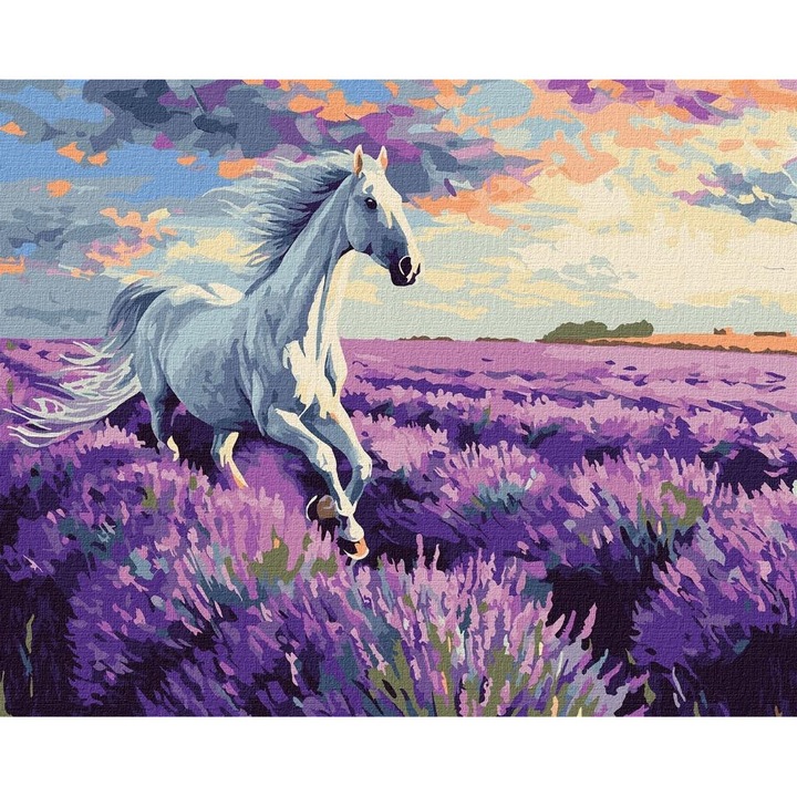 Számfestő készlet, Ideyka, 3 ecset, 40x50cm