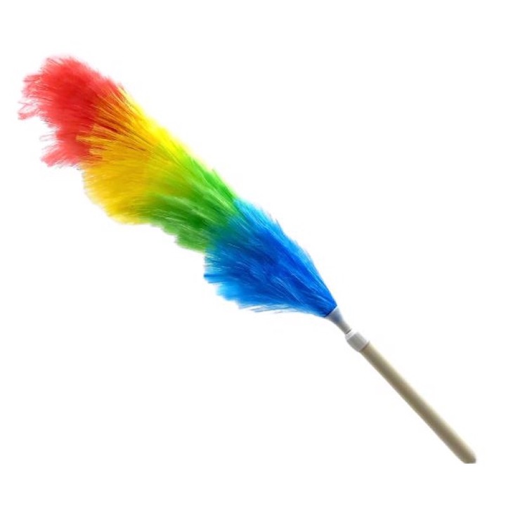 Pamatuf telescopic pentru praf si paianjeni, Elina Med, multicolor, maner extensibil, 107 cm