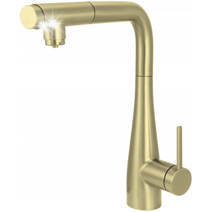 Кухненска батерия Deante Eridan, със свързване към филтър, полирано злато, 600мм