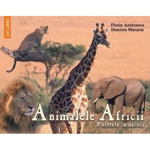 Animalele Africii - Florin Andreescu, Dumitru Murariu